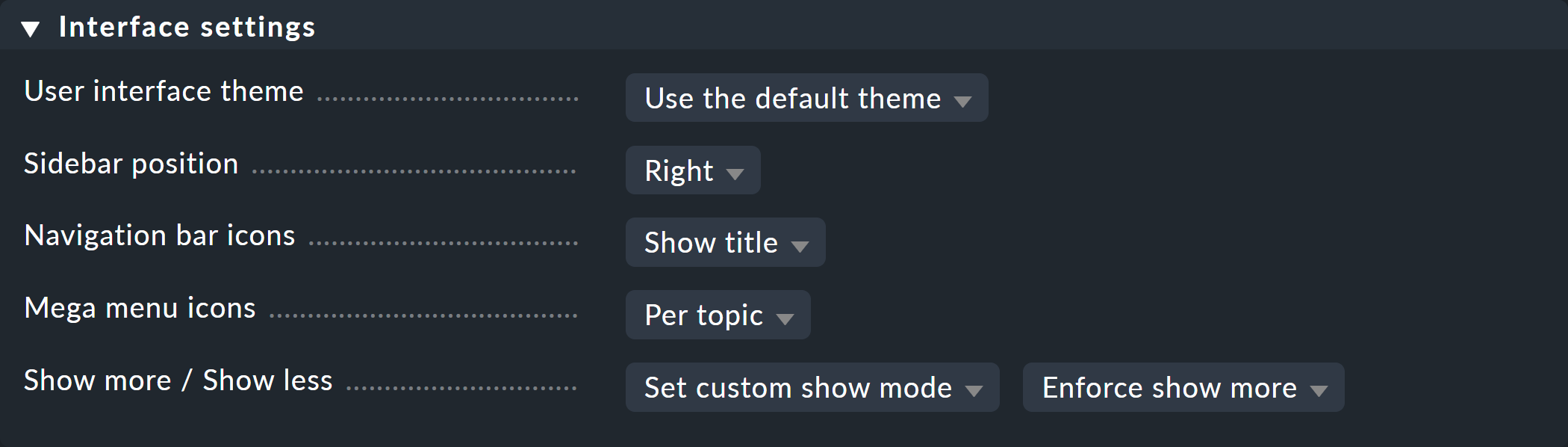 Dialog for a user's interface settings.