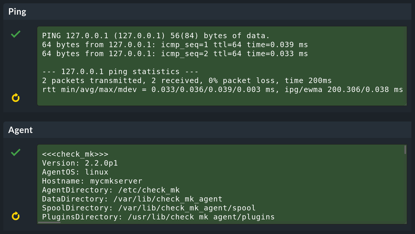 Result of the connection test to the host with ping and with agent output.