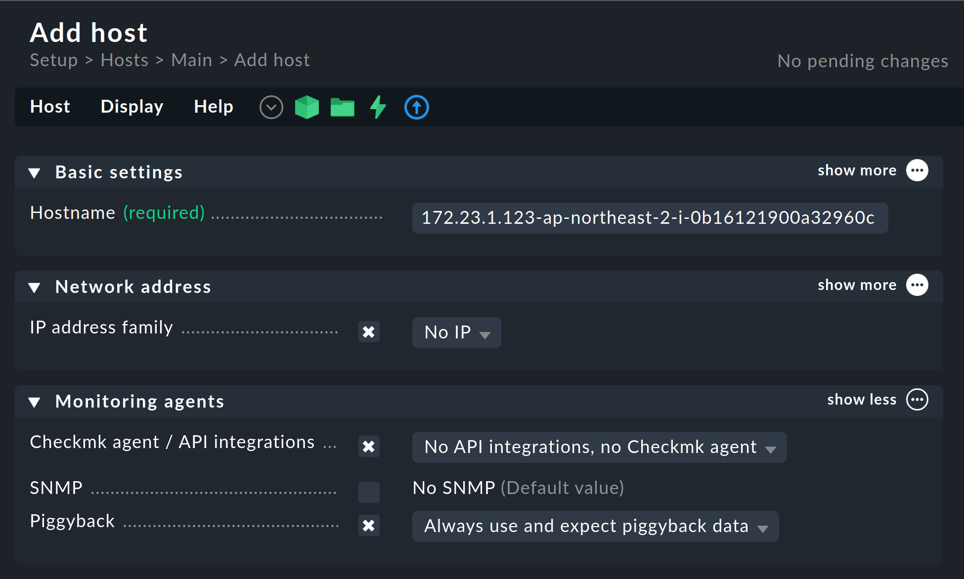 monitoring aws add host for piggyback data