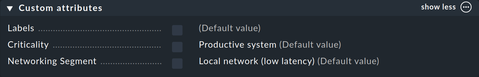 Dialog with the properties of a host: custom attributes.