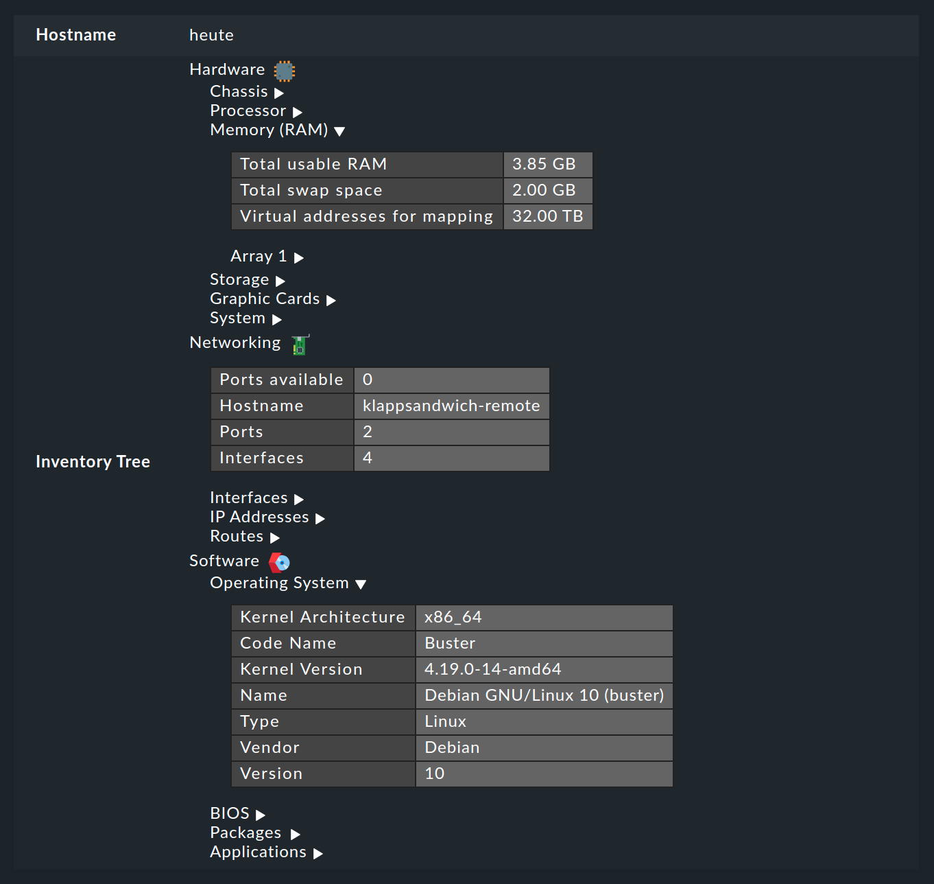 Tree representation of the hardware/software inventory data of a host.