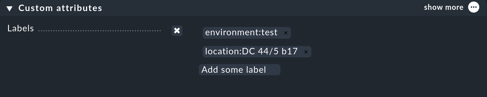 Dialog with properties of a host for defining labels.