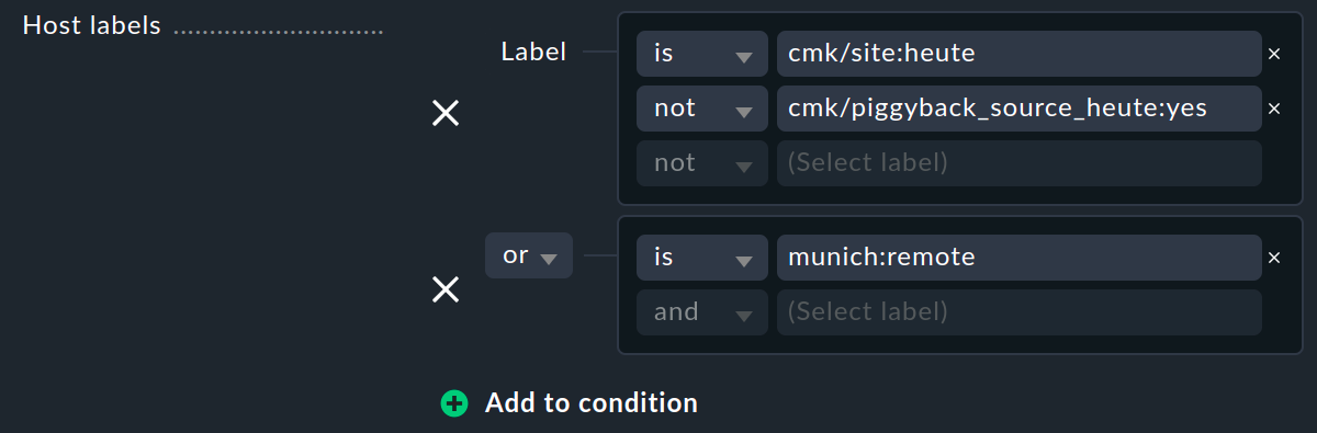 multiple conditions for host labels.