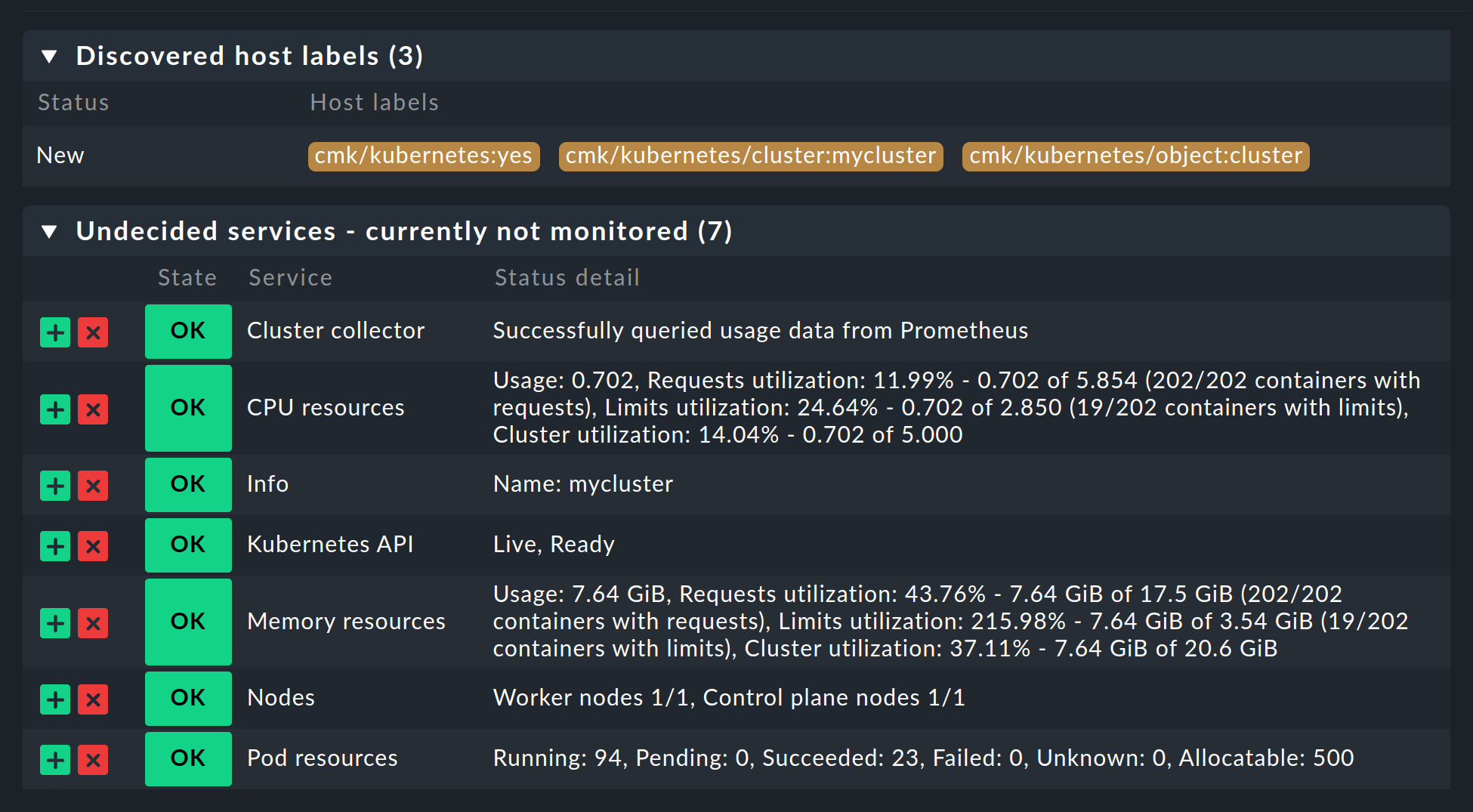 Example view of the first service discovery after completing the configuration.